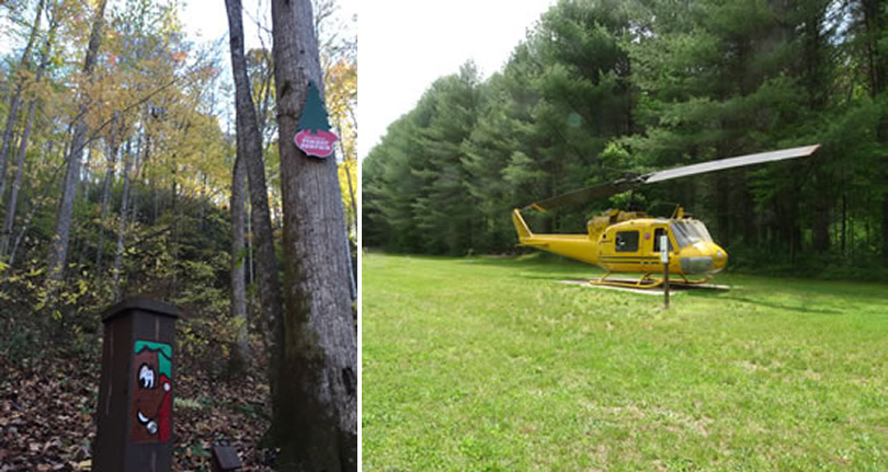 Holmes Educational State Forest near Meadowbrook Log Cabin