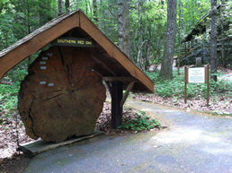 Holmes Educational Forest near Meadowbrook Log Cabin