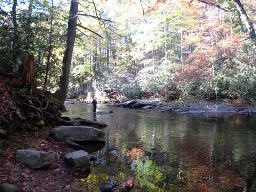 Fishing the Davidson River off The Art Loeb Trail in the Pisgah National Forest The Autumn leaves are reflected in the water.