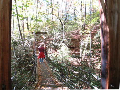 Suspension Bridge on Andy Cove Trail – Things to do near Meadowbrook Log Cabin