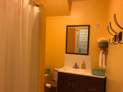 Newly remodeled bathroom with walk-in shower. - Apple Barn Cottage in Flat Rock