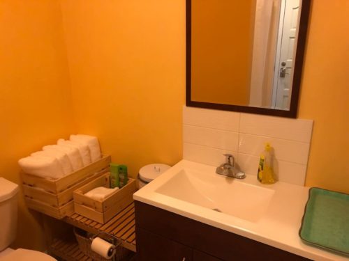 Newly remodeled Bathroom with everything you need - Apple Barn Cottage in Flat Rock