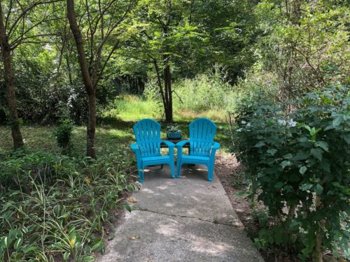 Private yard at Apple Barn Cottage in Flat Rock - Apple Barn Cottage in Flat Rock