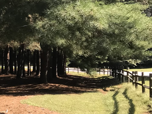 Berkley Mills Park is just off Balfour Road, not far from the cabin - Berkley Mills Park – Near Meadowbrook Log Cabin, Hendersonville ,NC