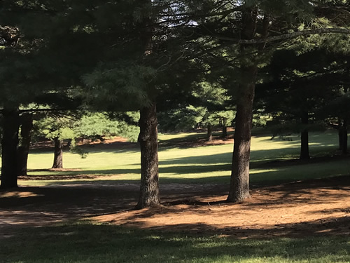 Berkley Mills Park has grassy fields and shady trees. - Berkley Mills Park – Near Meadowbrook Log Cabin, Hendersonville ,NC