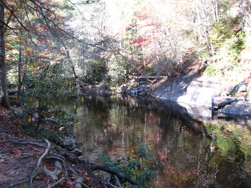 Davidson River off the Art Loeb Trail near Davidson River Campgrounds - Things to do near Meadowbrook Log Cabin