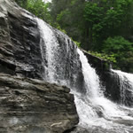 DuPont State Forest - Things to do near Meadowbrook Log Cabin