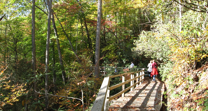 Andy Cove Trail – Things to do near Meadowbrook Log Cabin