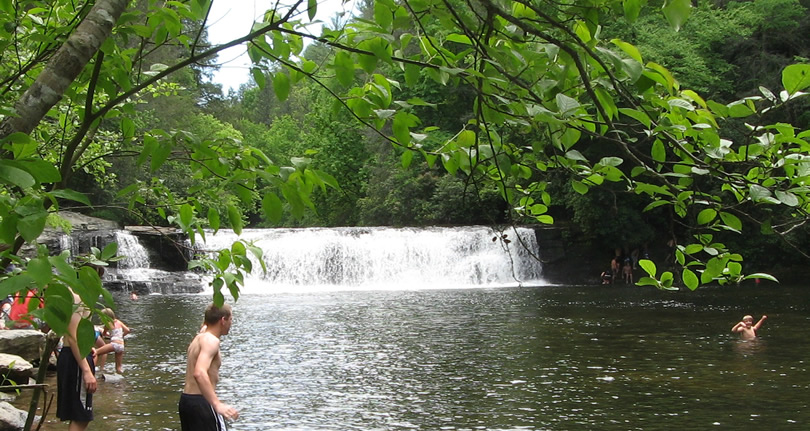 DuPont State Forest near Meadowbrook Log Cabin