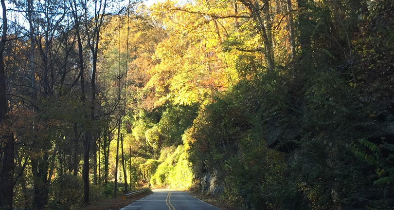 Late Fall Drive South along 176, the Old Spartanburg Highway