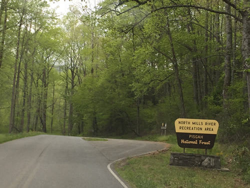 Entrance to North Mills River Recreation Area in Pisgah National Forest - In Henderson County - Things to do near Meadowbrook Log Cabin