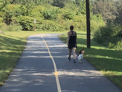 There is plenty of room for walking and biking. It is a great place to walk dogs. - Oklawaha Greenway Trail – Things to Do Near Meadowbrook Log Cabin