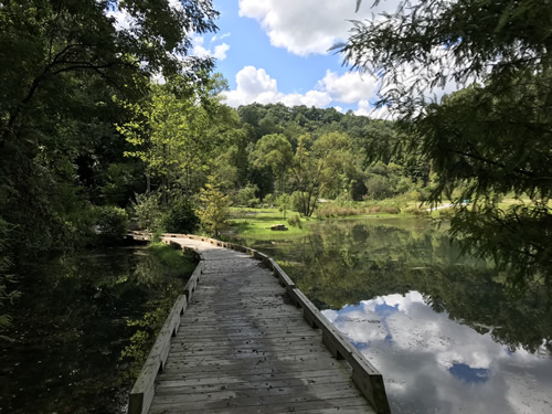 Board Walk on Rhododendron Lake Loop - Rhododendron Lake Nature Park – Things to do near Meadowbrook Log Cabin