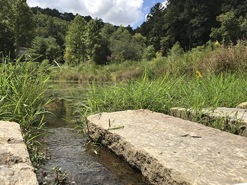 Stepping Stones across the lake - Rhododendron Lake Nature Park – Things to do near Meadowbrook Log Cabin