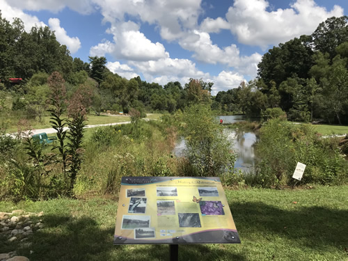 Rhododendron Lake Nature Park – Things to do near Meadowbrook Log Cabin