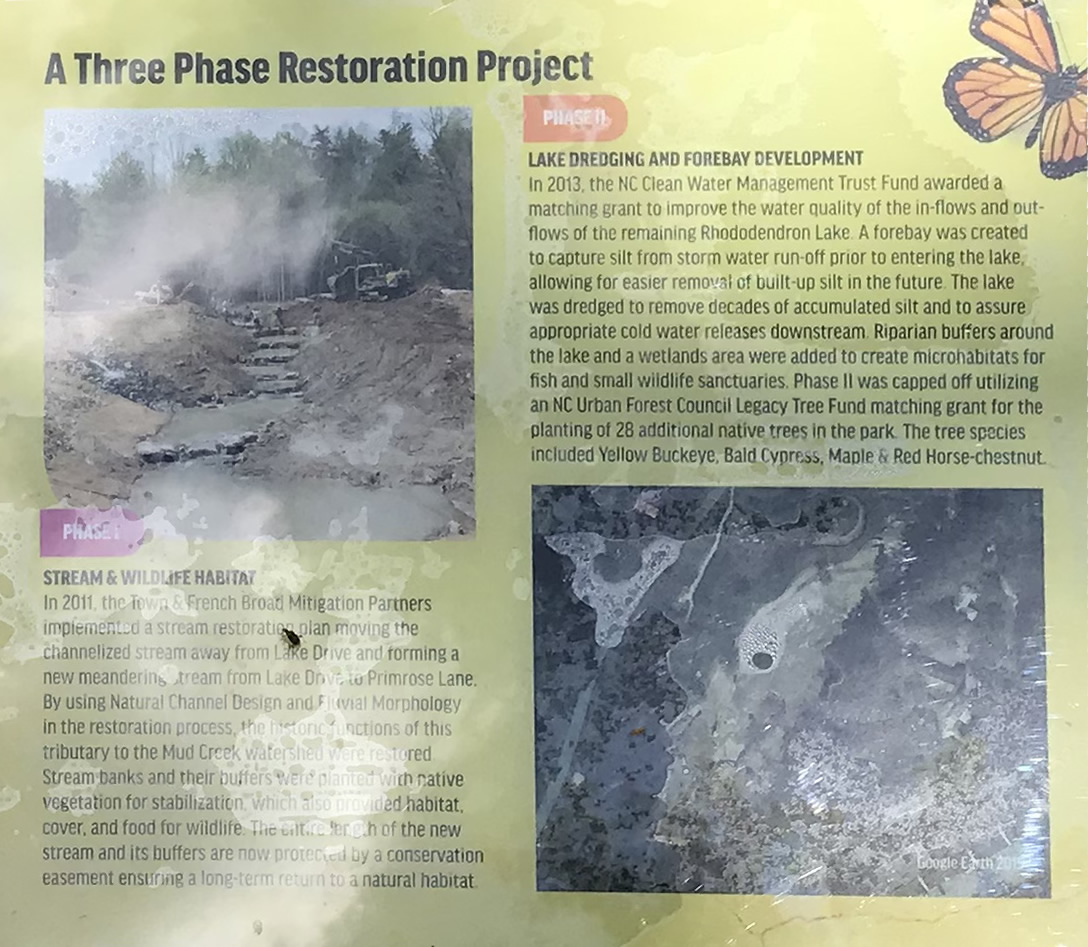 A Three Phase Restoration Project - Rhododendron Lake Nature Park – Things to do near Meadowbrook Log Cabin
