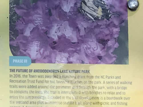 The Future of Rhododendron Lake Nature Park - Rhododendron Lake Nature Park – Things to do near Meadowbrook Log Cabin