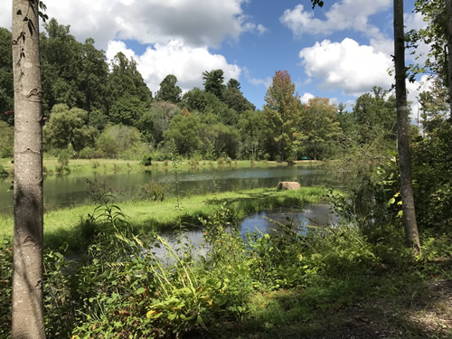 Rhododendron Lake - Rhododendron Lake Nature Park – Things to do near Meadowbrook Log Cabin