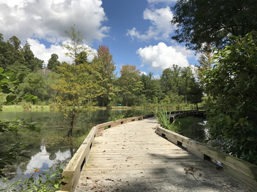 Board Walk on Rhododendron Lake Loop - Rhododendron Lake Nature Park – Things to do near Meadowbrook Log Cabin