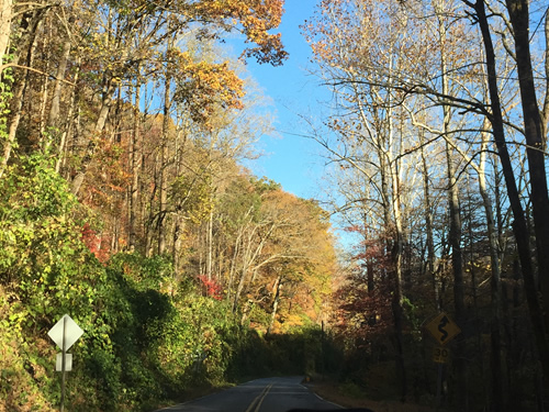 Curvy Road - Late Fall Drive South along 176, the Old Spartanburg Highway