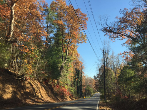 The colors get brighter as you drive south in late Fall - Late Fall Drive South along 176, the Old Spartanburg Highway