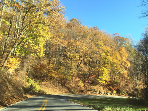 Late fall driving South on the Old Spartanburg Highway - Late Fall Drive South along 176, the Old Spartanburg Highway