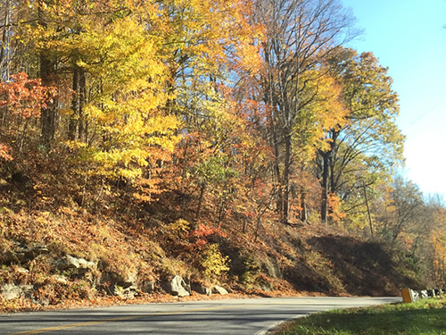 The road winds, but there is very little traffic - Late Fall Drive South along 176, the Old Spartanburg Highway