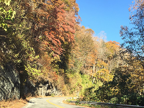 As you drive down the mountain, the colors get brighter in November - Late Fall Drive South along 176, the Old Spartanburg Highway