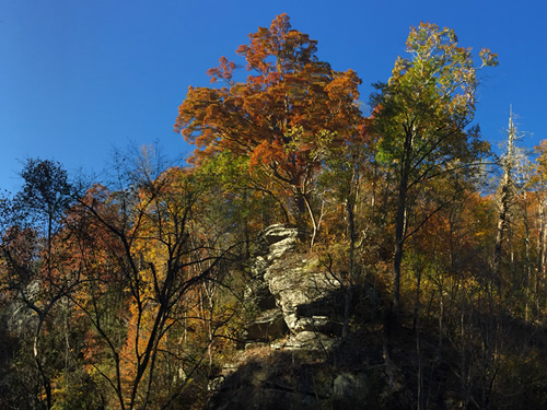 This really is a beautiful drive - Late Fall Drive South along 176, the Old Spartanburg Highway