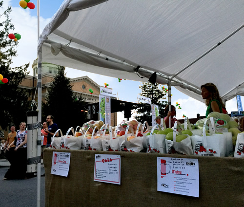 Local orchards have samples of all the different types of apples they grow. - North Carolina Apple Festival - Things to do near Meadowbrook Log Cabin