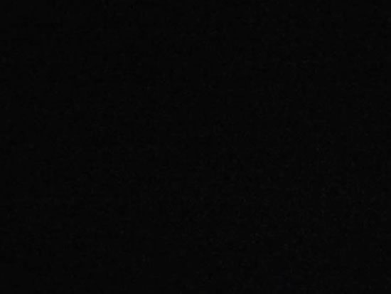 My photos of Blue Ghost Fireflies all look like this. - Blue Ghost Fireflies - Henderson County, NC