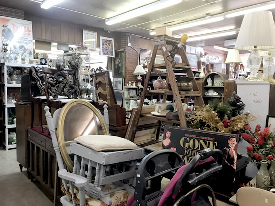 I have never seen a more appropriate name for a store. - Junk & Disorderly – Indoor Flea Market near Meadowbrook Log Cabin