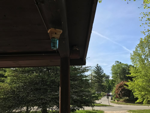 Look carefully up on the corner. There is a robin on a nest on the log at the end of the porch. - Robin on the Porch at Meadowbrook Log Cabin