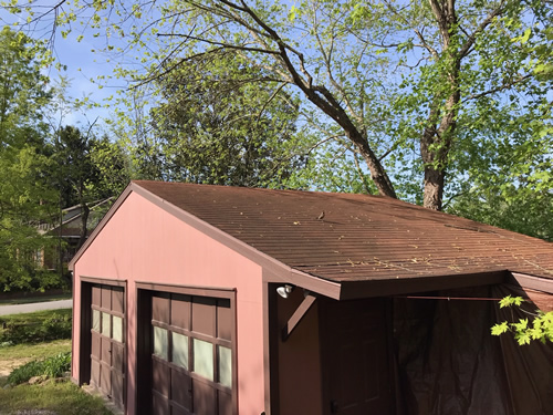 The robin flew over to the roof of the garage. - Robin on the Porch at Meadowbrook Log Cabin
