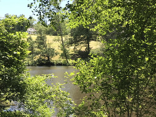 Connemara – Carl Sandburg Home National Historic Site