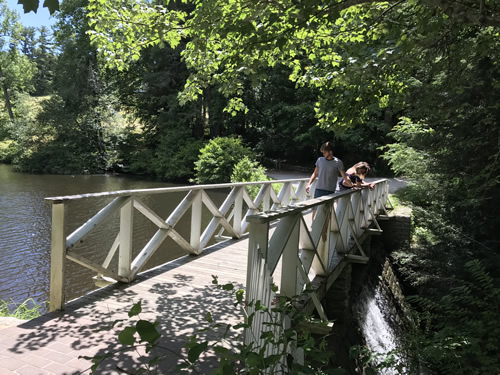 Connemara – Carl Sandburg Home National Historic Site
