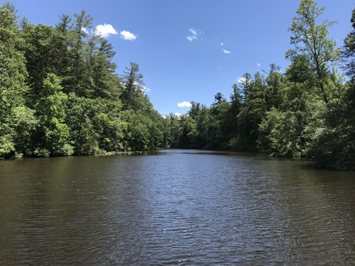 Connemara – Carl Sandburg Home National Historic Site