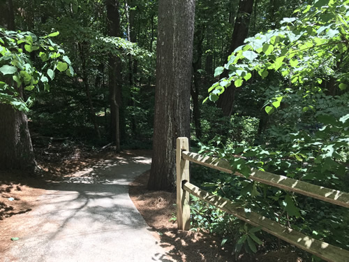 Connemara – Carl Sandburg Home National Historic Site