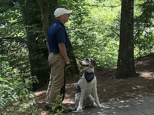 Connemara – Carl Sandburg Home National Historic Site