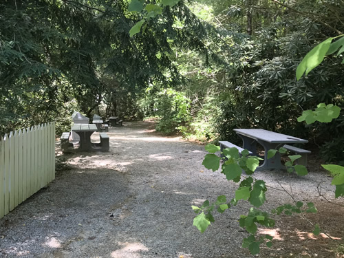 Connemara – Carl Sandburg Home National Historic Site