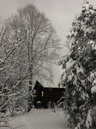 Winter at the Cabin