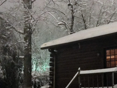 Snow in the Trees at the Back of the Log Cabin - Winter at the Cabin