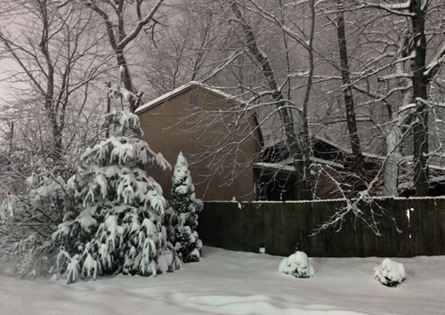 The Side of the Cabin - Winter at the Cabin