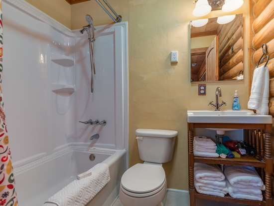 En-suite Bath off Master Bedroom