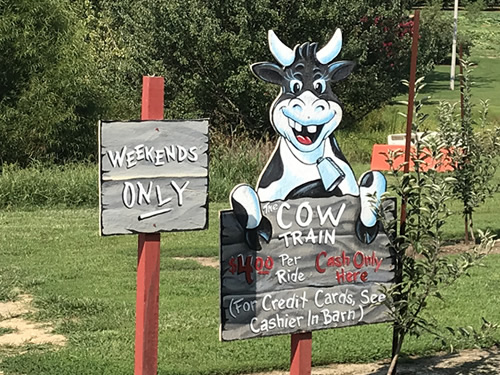 Cow Train at Grandad's Apples