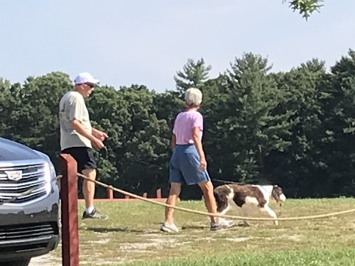 Grandad's Apples is dog friendly