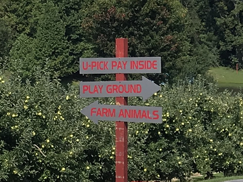 Orchard and directions to U-Pick, Playground and Farm Animals at Grandad's Apples