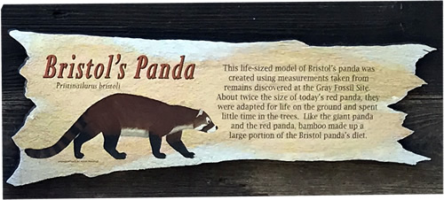 Bristol’s Panda