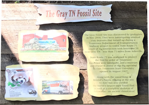The Gray TN Fossil Site