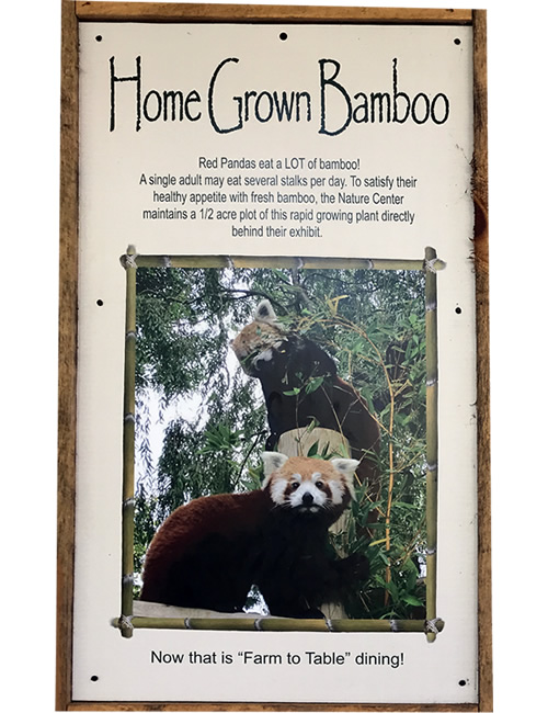 Home Grown Bamboo
